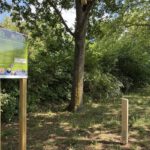 Nistparcours in Mainz Mombach macht Wohnhilfen für Tiere sichtbar