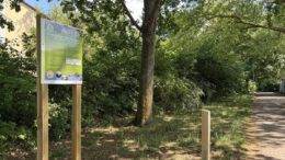Nistparcours in Mainz Mombach macht Wohnhilfen für Tiere sichtbar