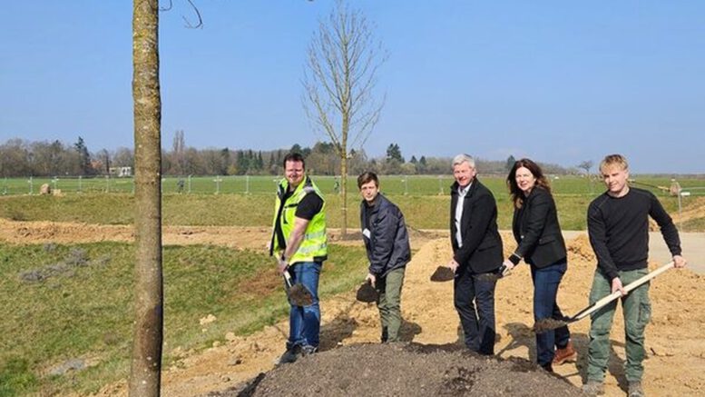 Zentrales Grün im Quartier Bierstadt Nord: 83 Bäume und Spielflächen geplant Zentrales Grün im Quartier Bierstadt Nord: 83 Bäume und Spielflächen geplant